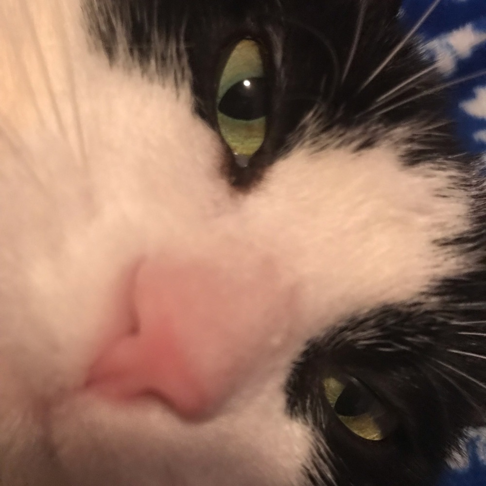 Meet your Posher, Melissa